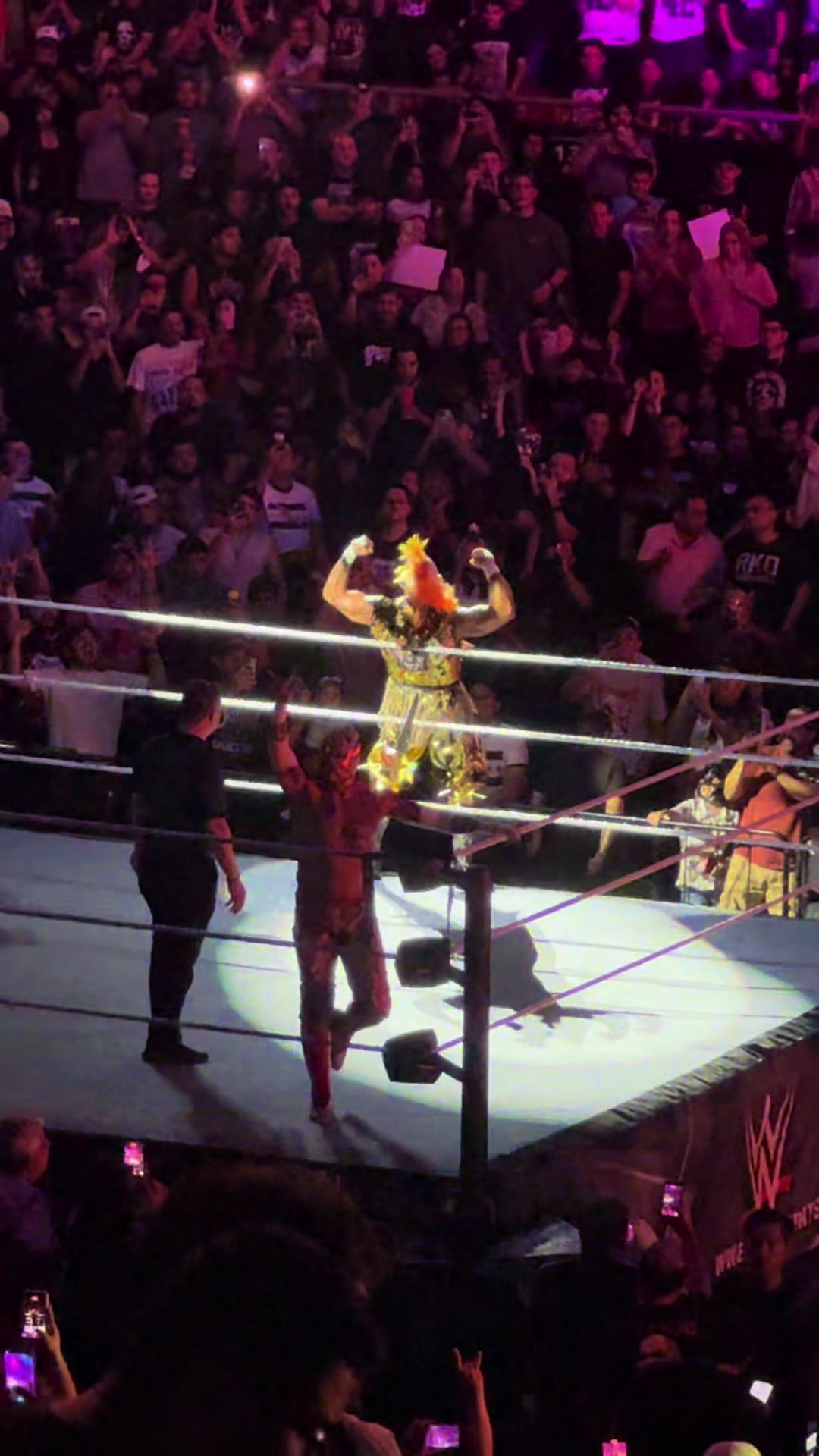 @VIDEO FACE WRESTLING