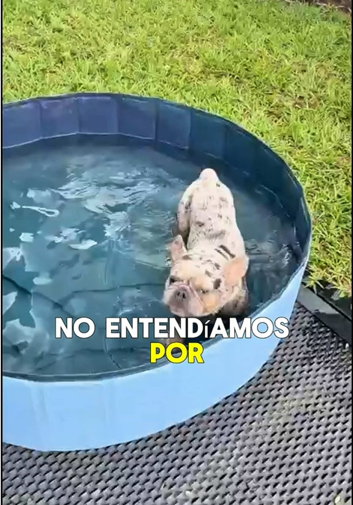 @Hugo Archila