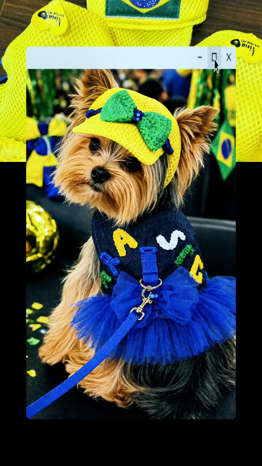 @Ninaboutiquepet