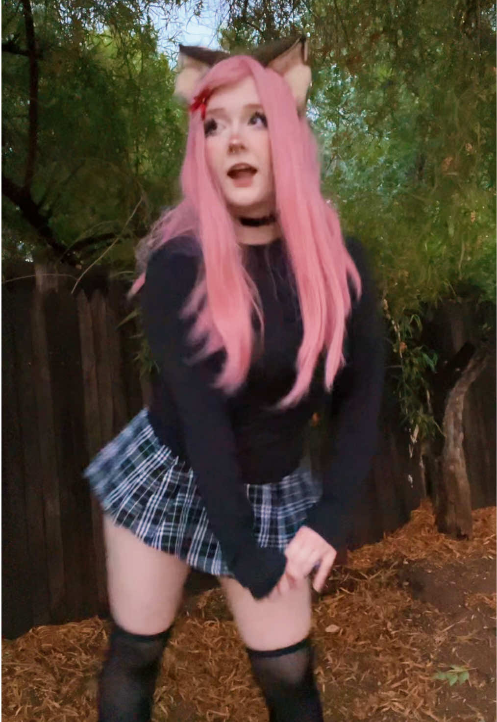 @≽^•⩊•^≼
