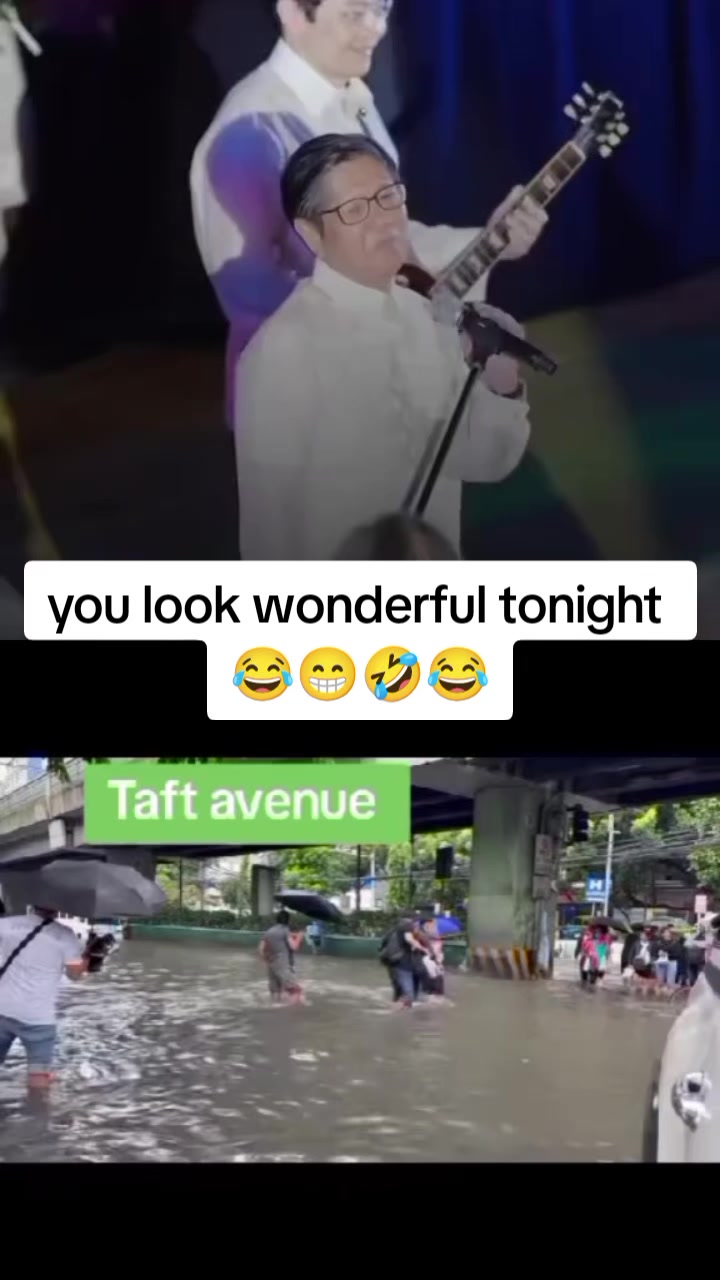 @๐ถ single notes ๐ถ