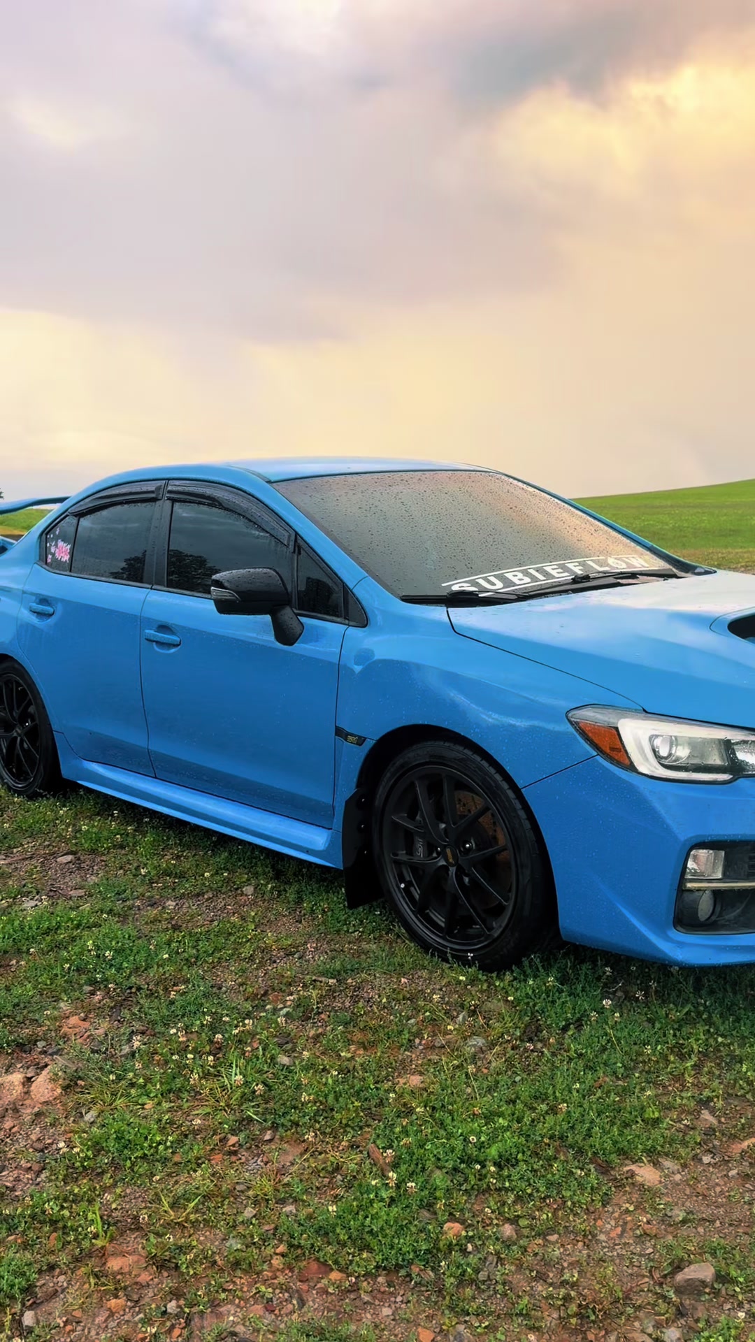 @sti_hay