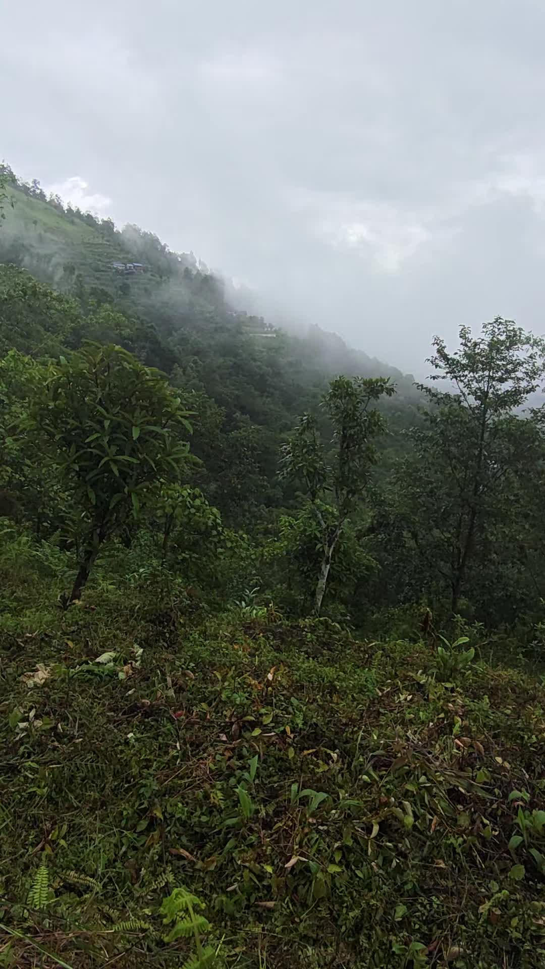 @Niraj rungmahang rai