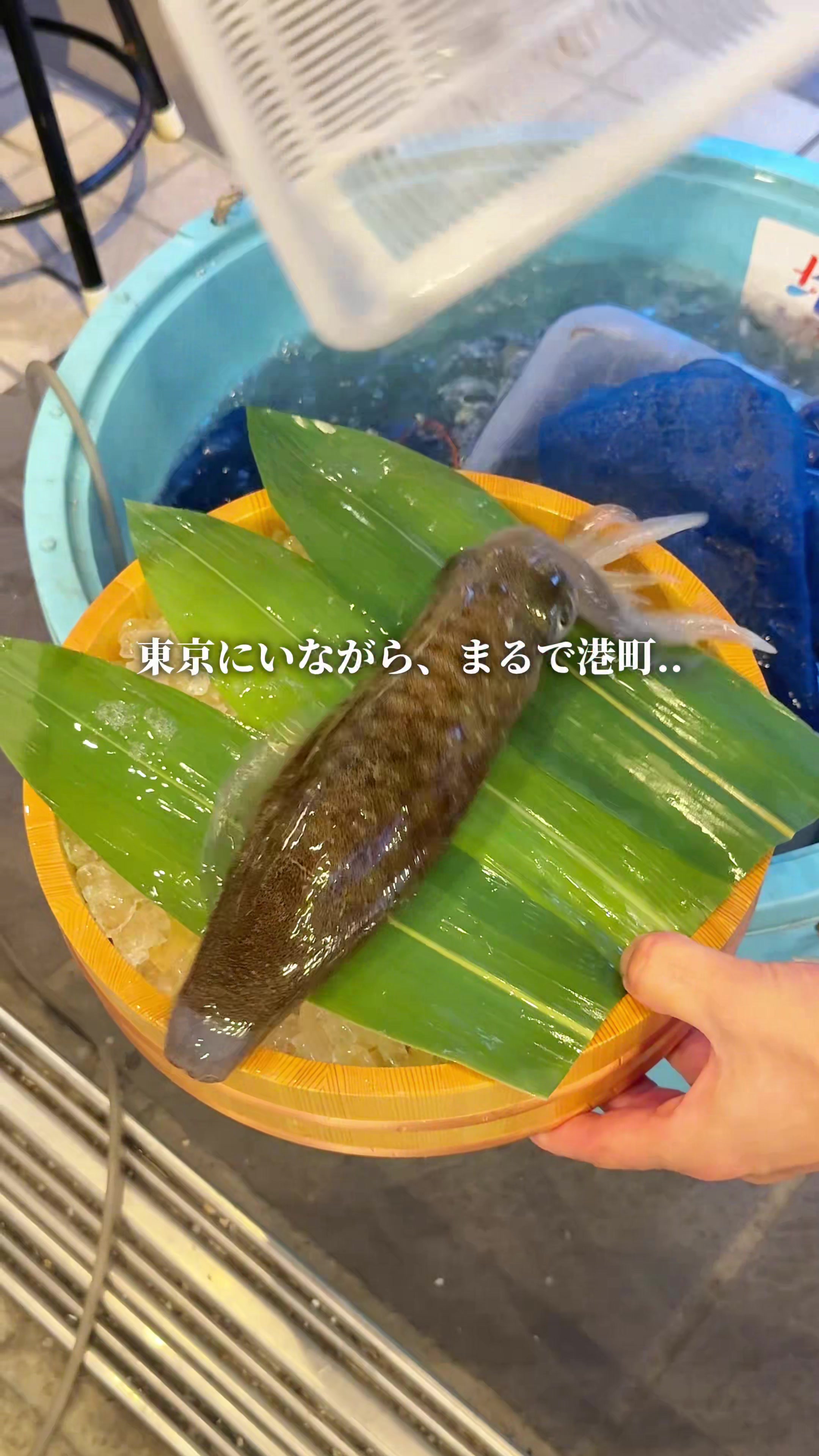 @まんぷく東京グルメ