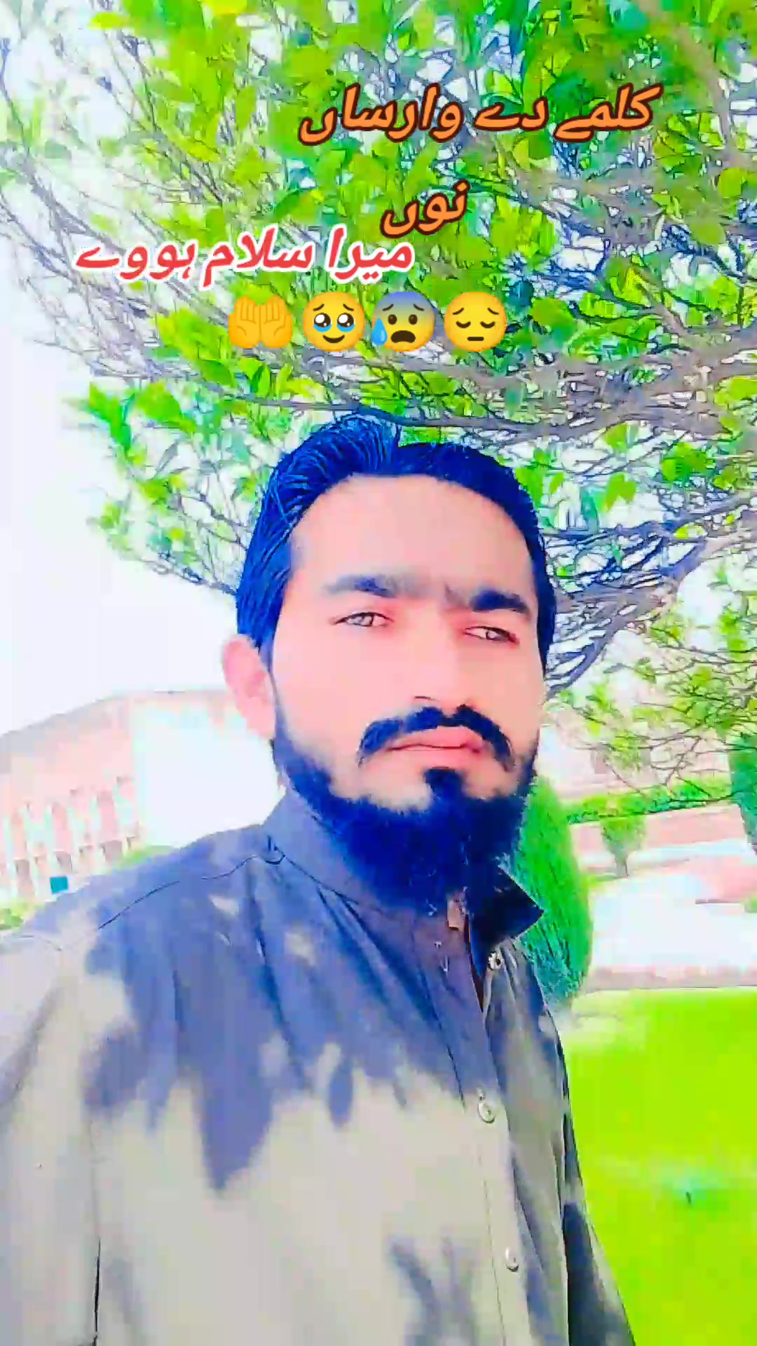 @Arif Arain Toba Tek Singh