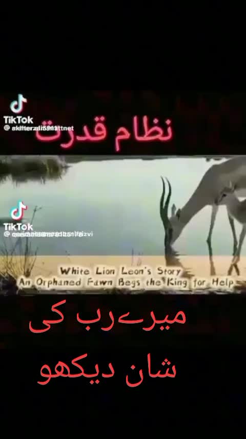 @MalikG