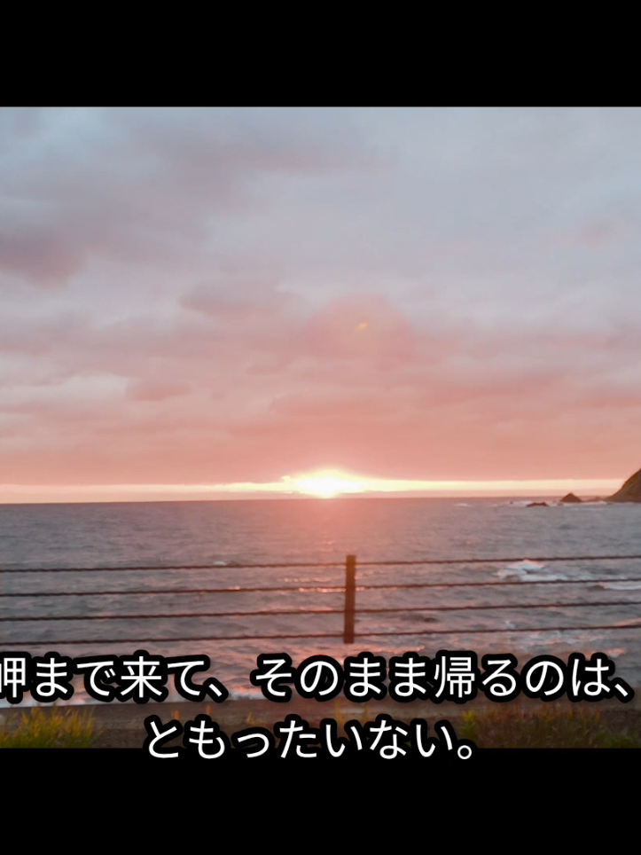 @海鮮味処御宿新生(神威岬に最も近い御宿+食堂)