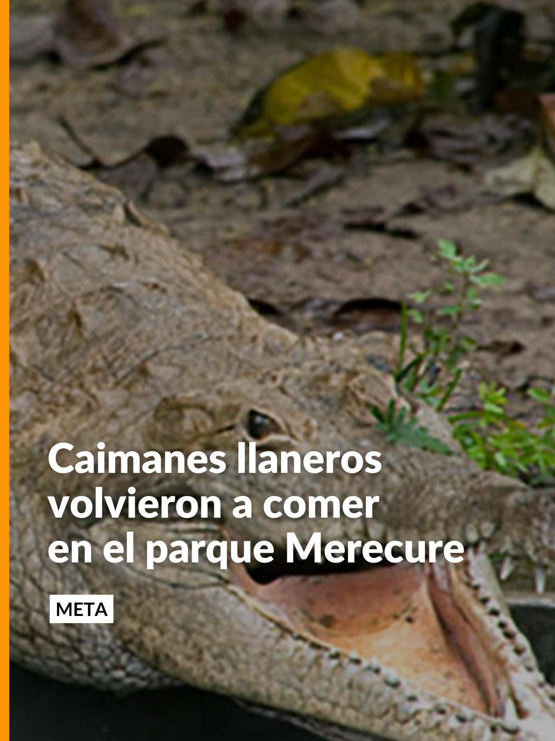 @Noticias Caracol