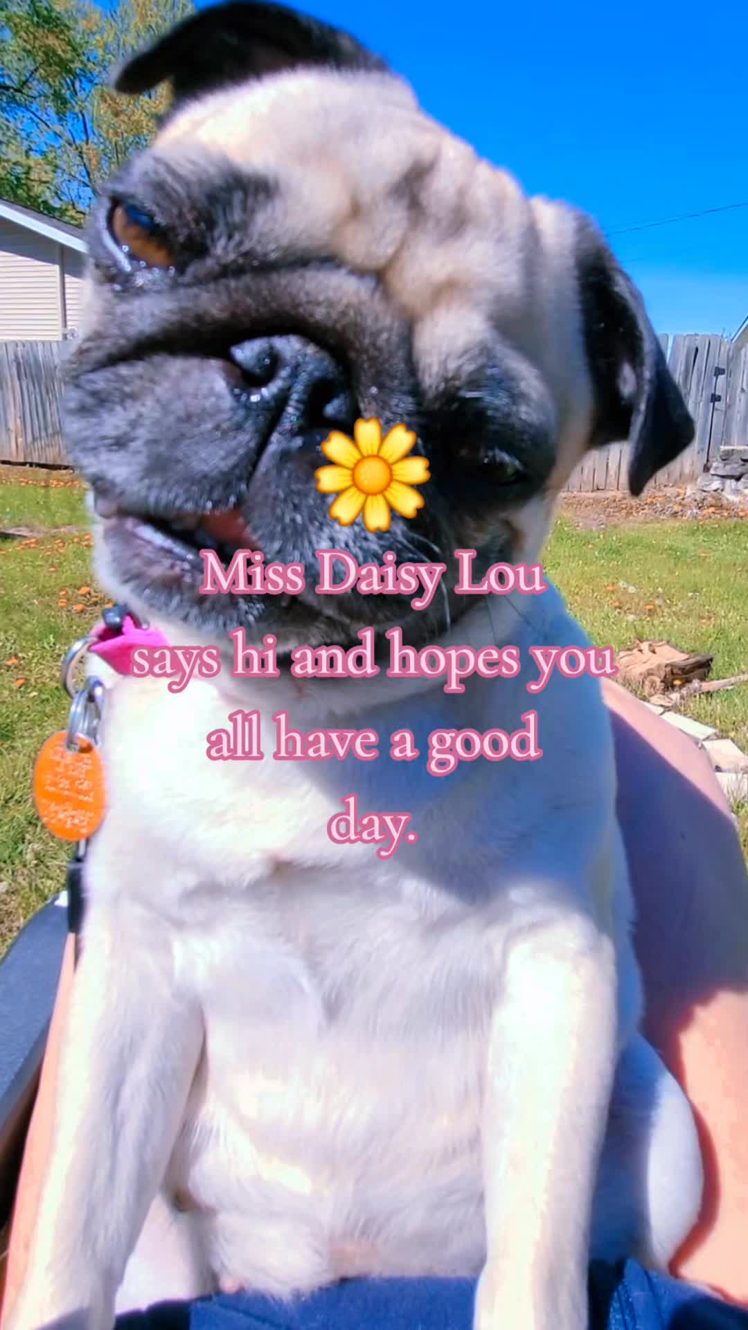 @💚🩷kellymarie117🩷💚