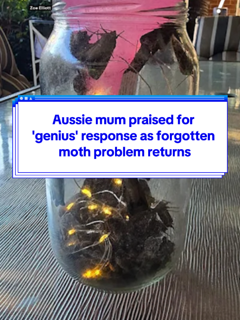 @Yahoo Australia