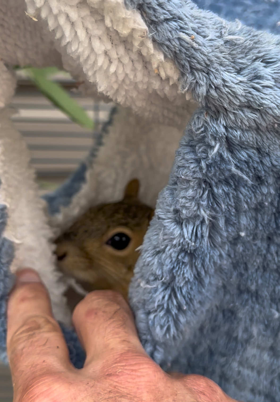 @Squirrel Guy