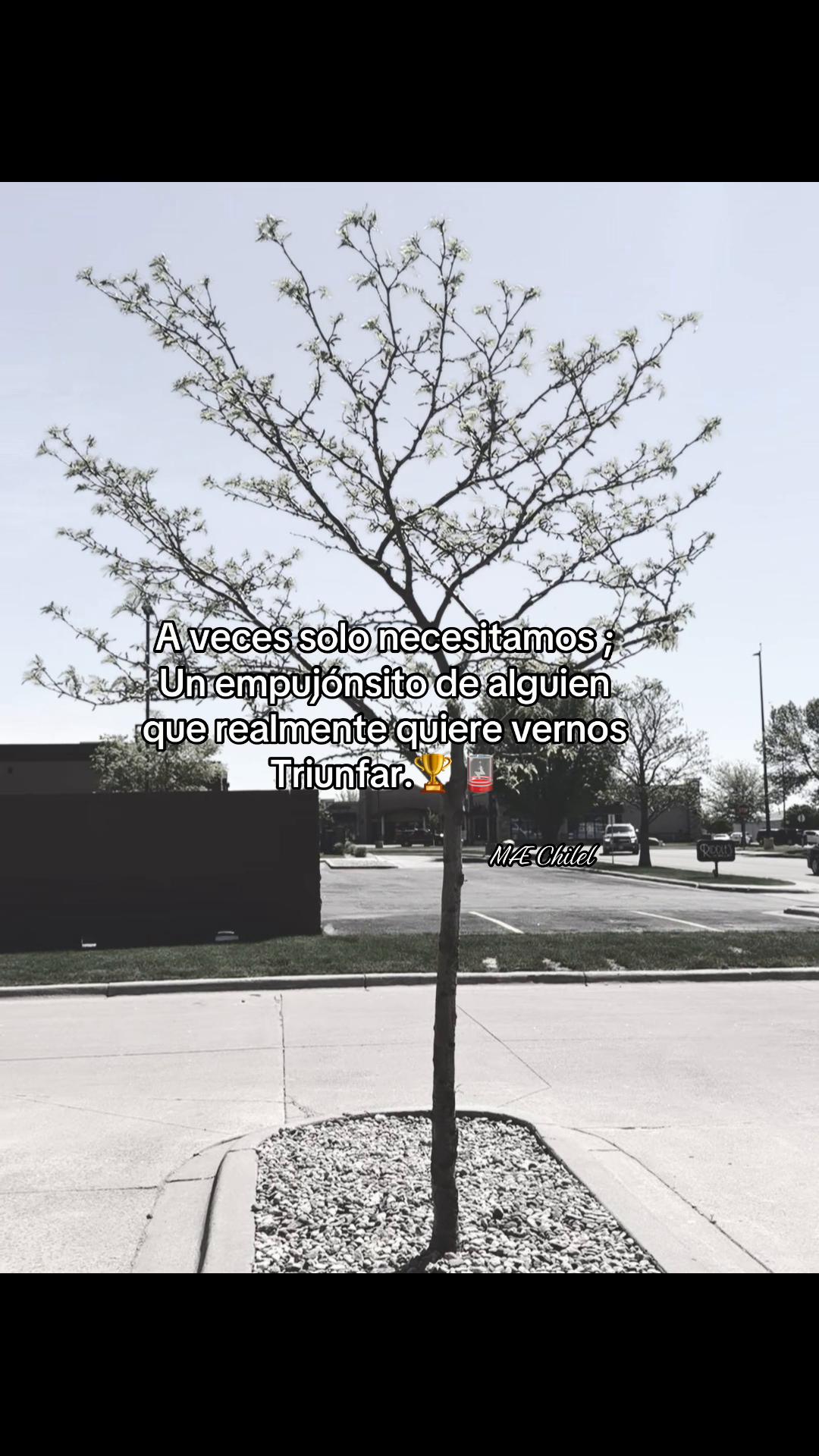 @🇬🇹<MÆ^Čhîlêl⁵⁰²🇬🇹