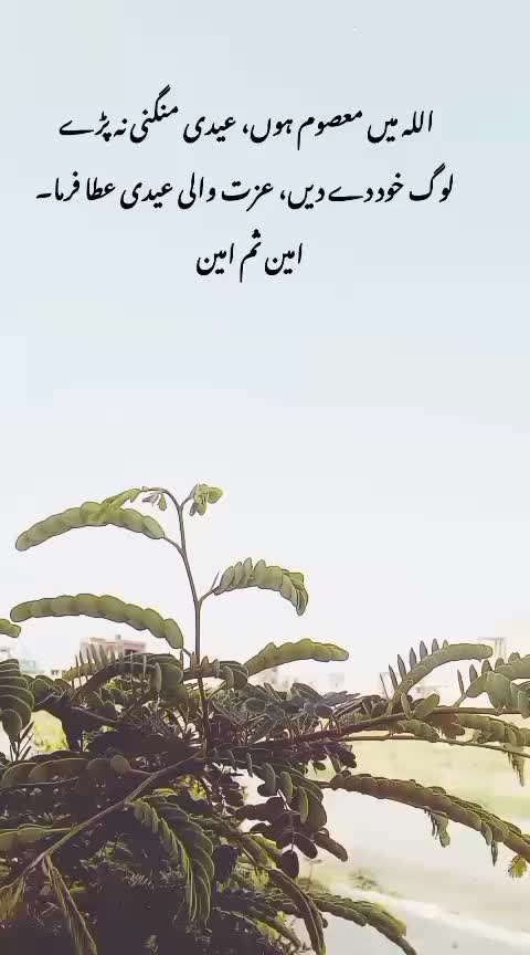 @میرا عشق کزن 🌝