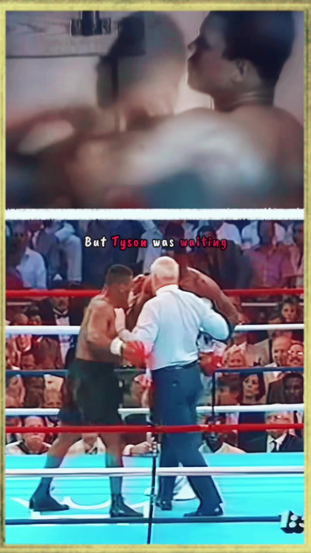 @iBOXE.shop