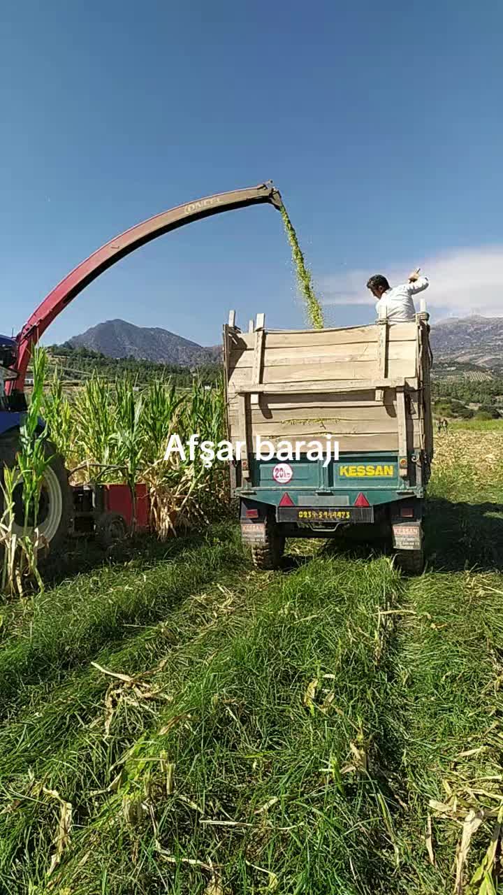 @Ali &Ccedil;ankaya