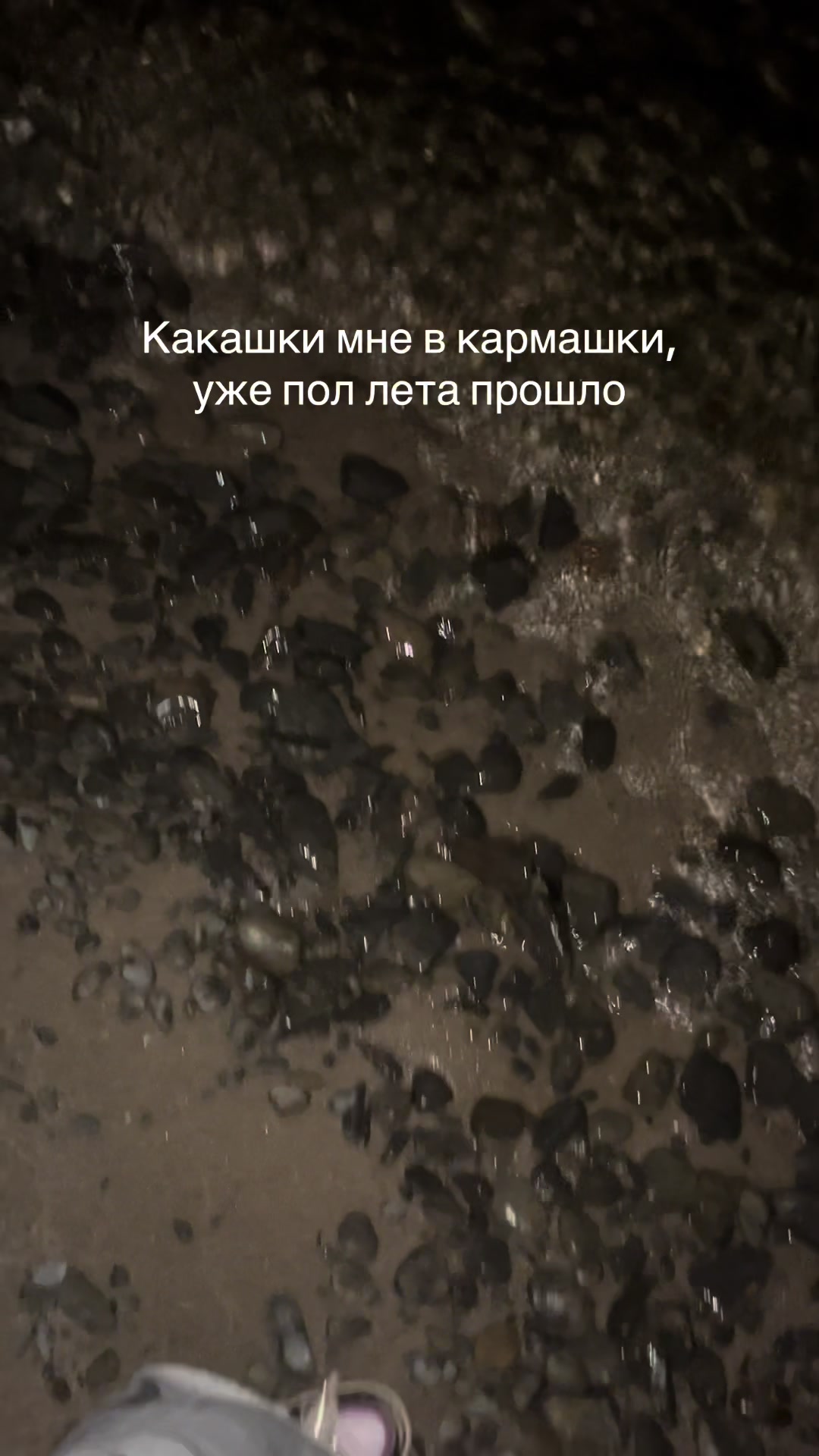 @morvi