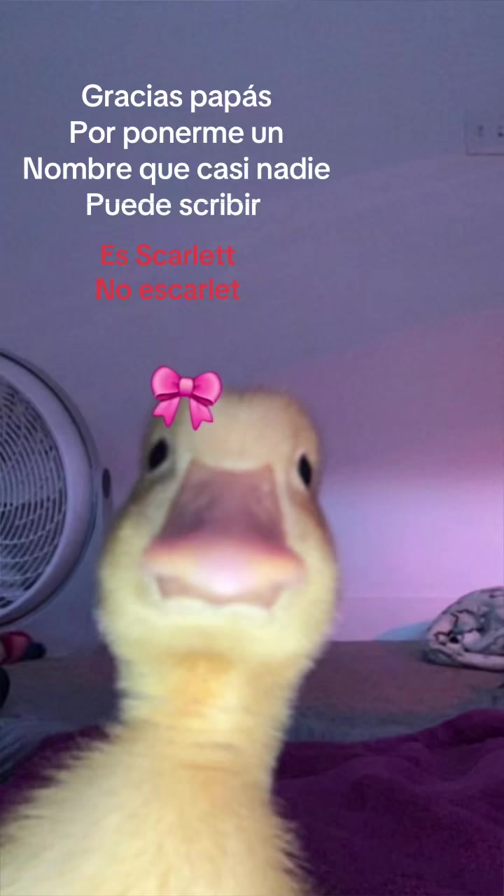 @Scarletbelazquez