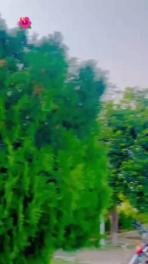 @♛𝐍___𝐊 N̸i̸a̸z̸i̸♕