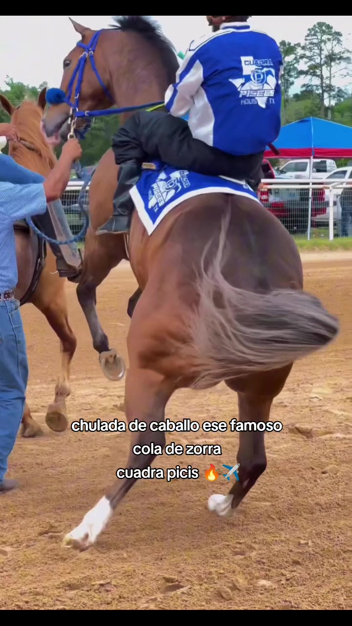 @carriles altos de jalisco🐎