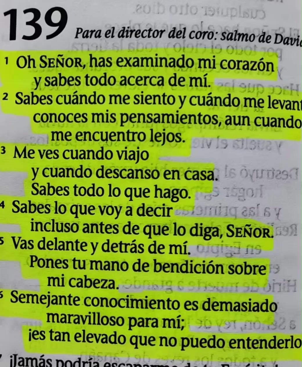 @Danny Scorpion