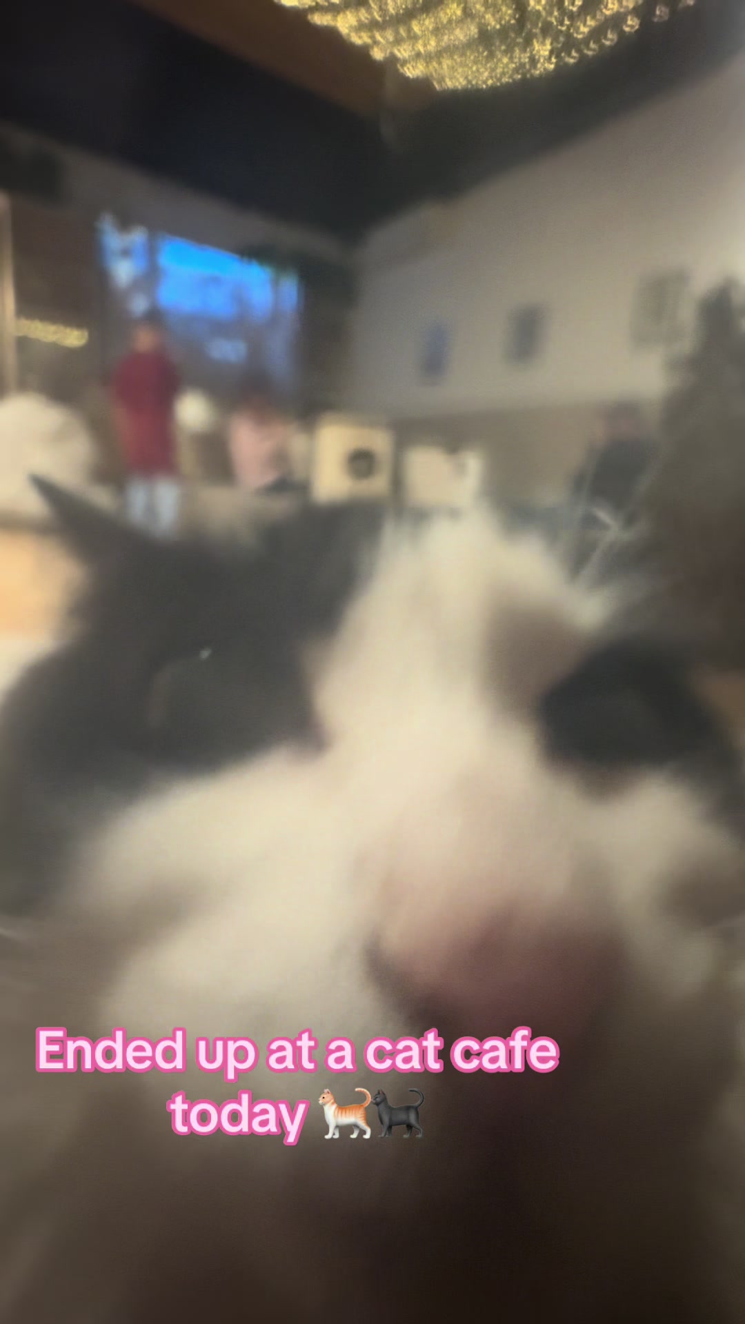 @Kai