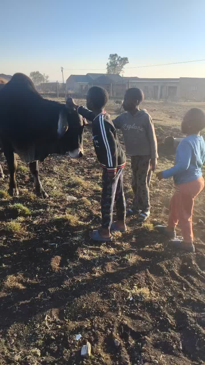 @Lubanzi Khumalo