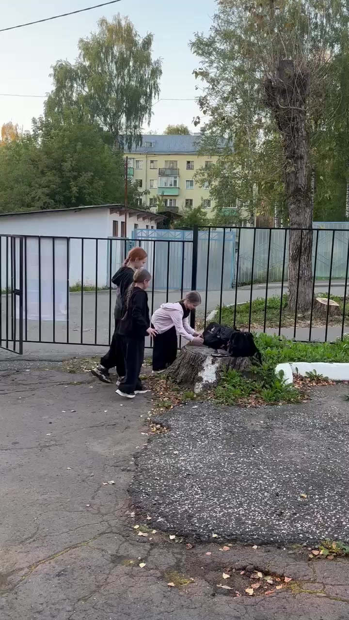 @denis.voronin