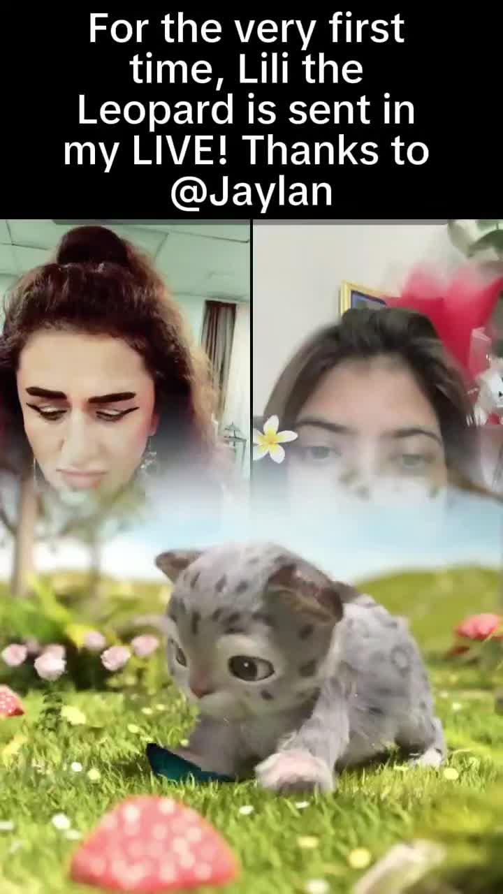 @👑Sultana