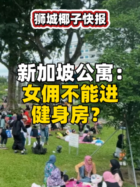 @新加坡狮城椰子