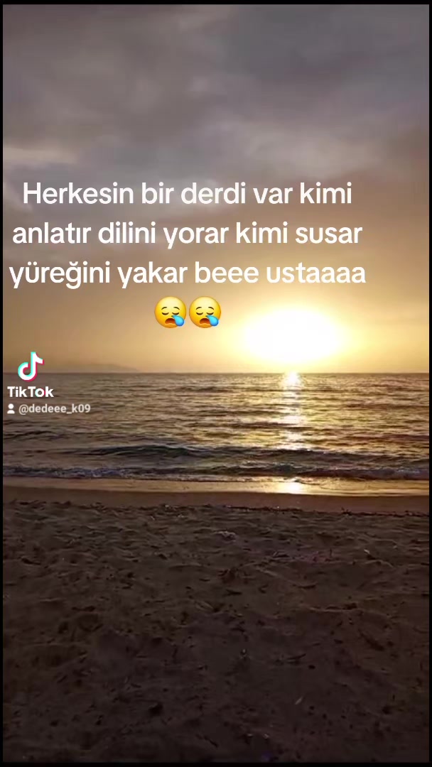 @⚜️wolf usta ⚜️