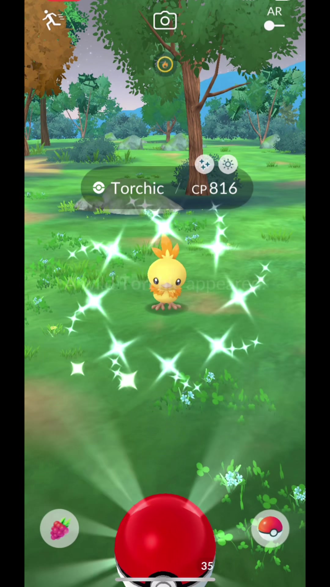@ShinyTiny8