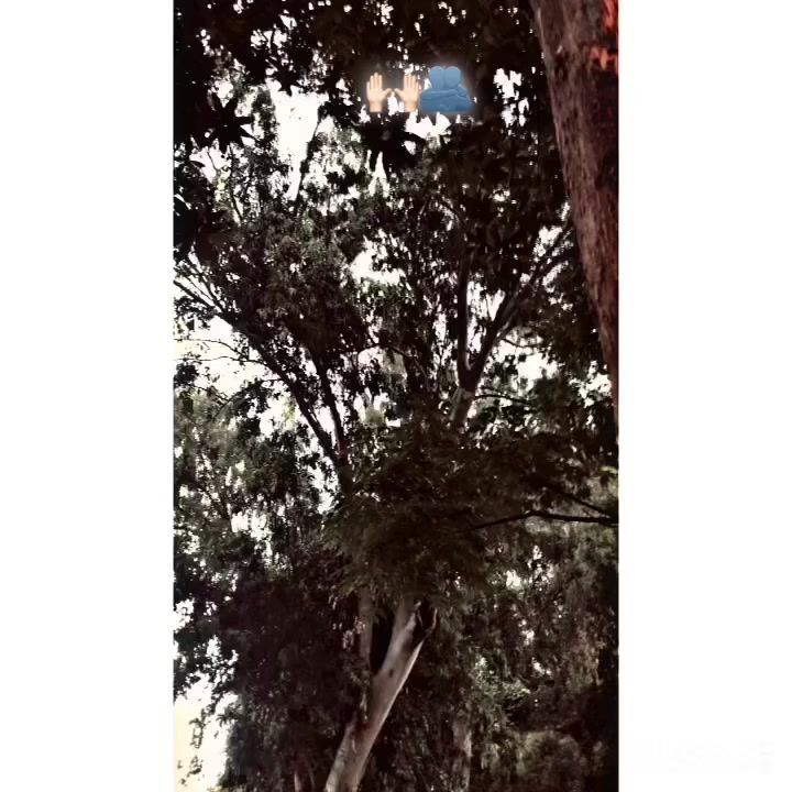 @بھٹی صاحب ⚜️💸