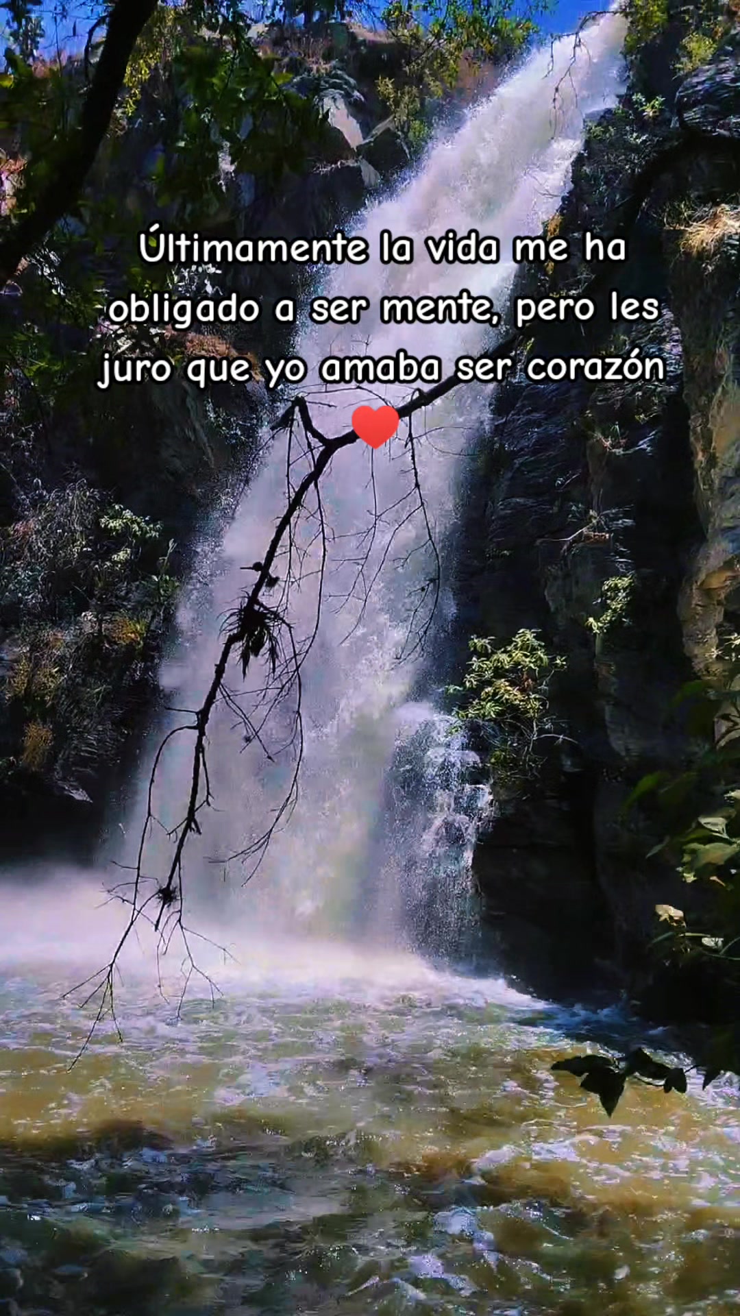 @DaYisLuka