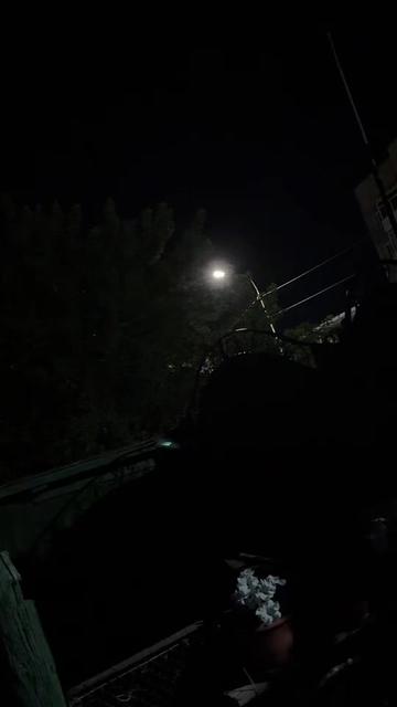 @Женька🐻