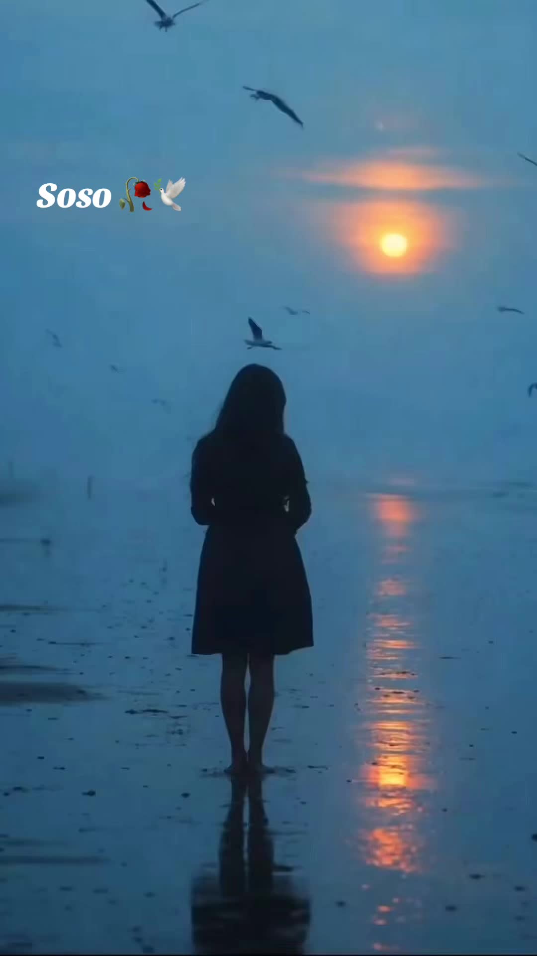 @༊෴✿ سوسو ✿〄࿐