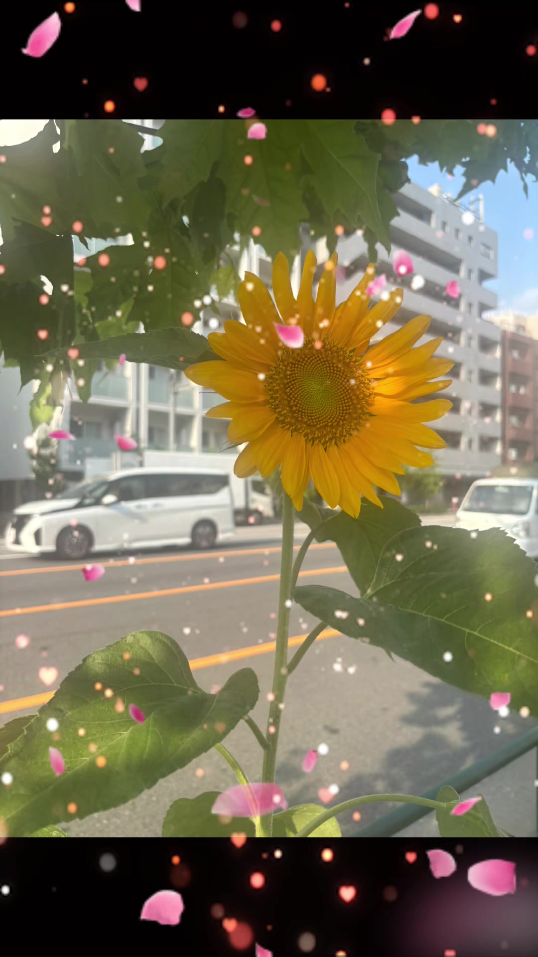 @Izu