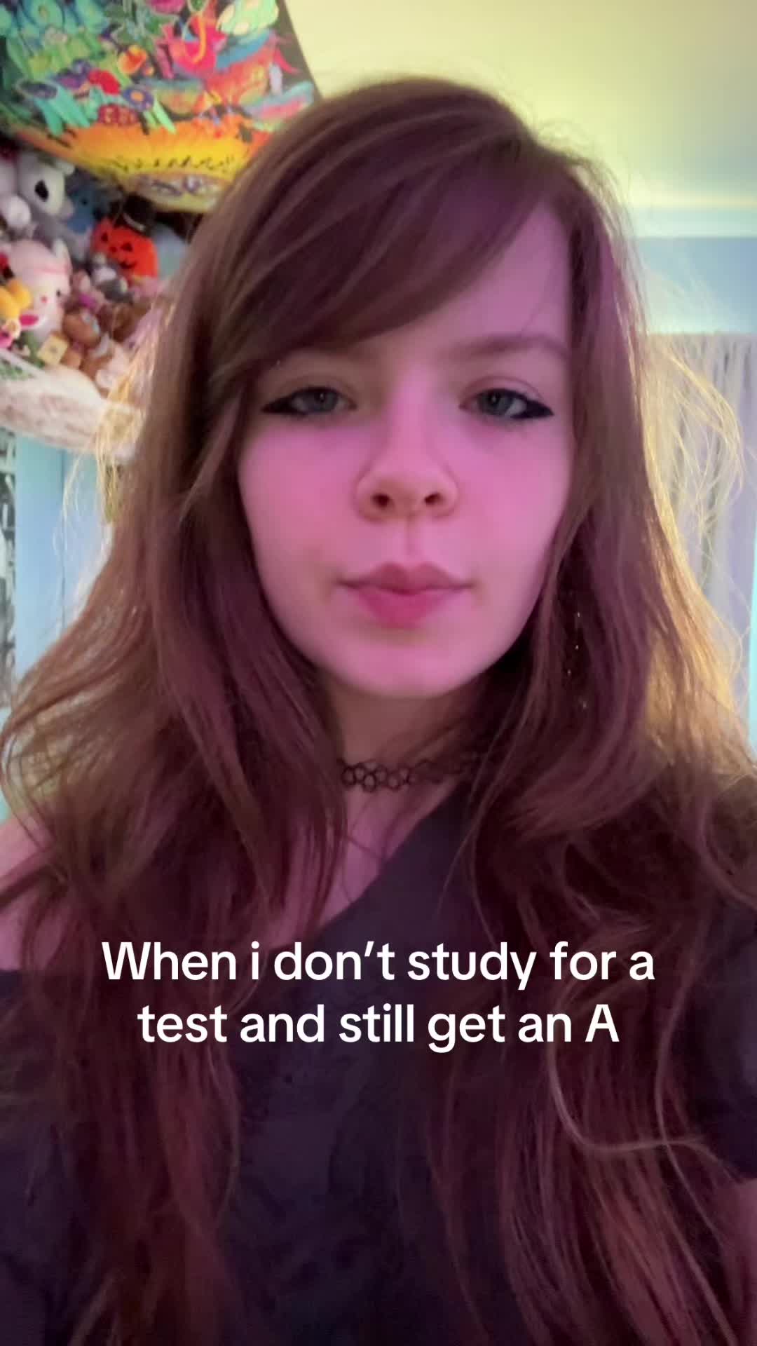 @🐾