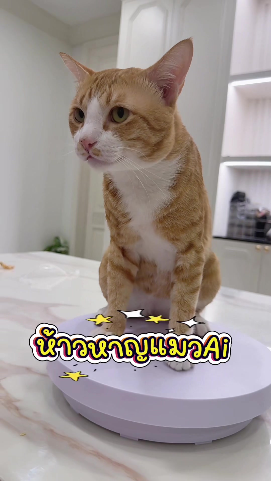 @เกรท 97 💚✨