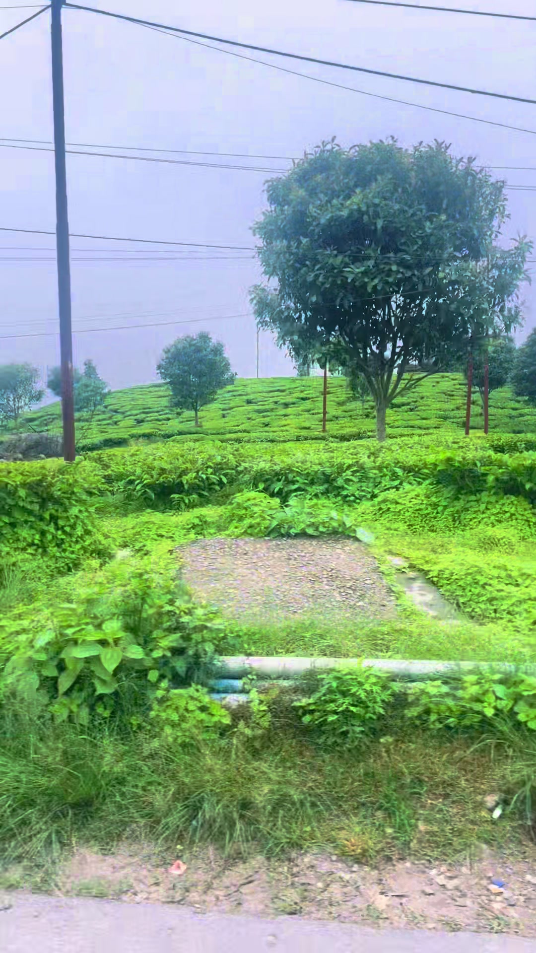 @Bidhyakarki🕉️
