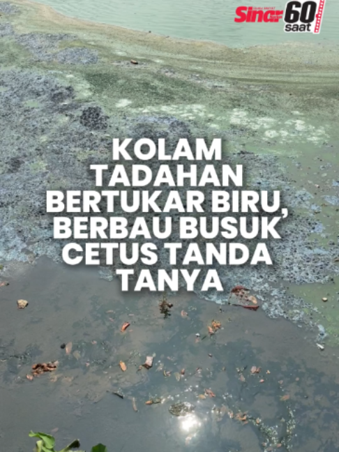 @Sinar Harian