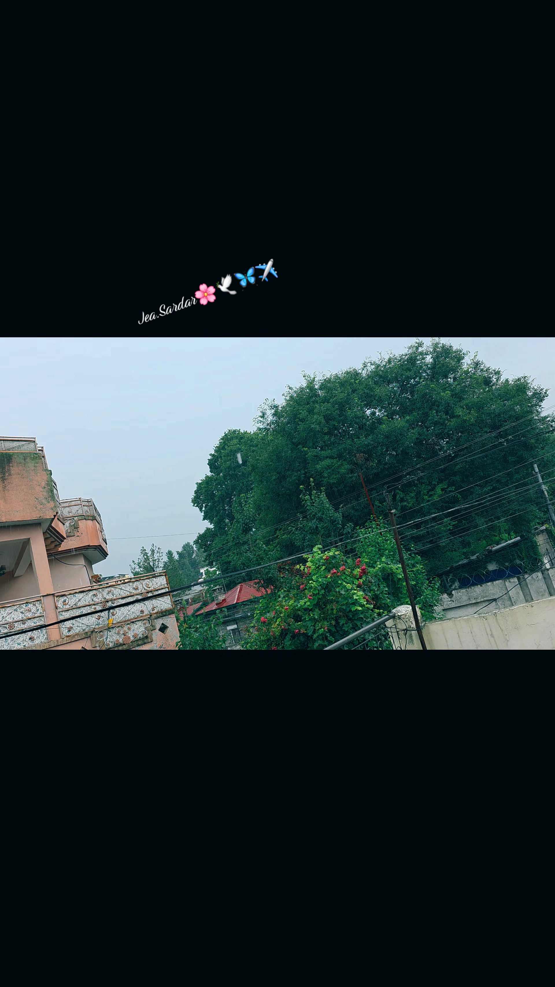 @JEA SARDAR❤️🍁❤️
