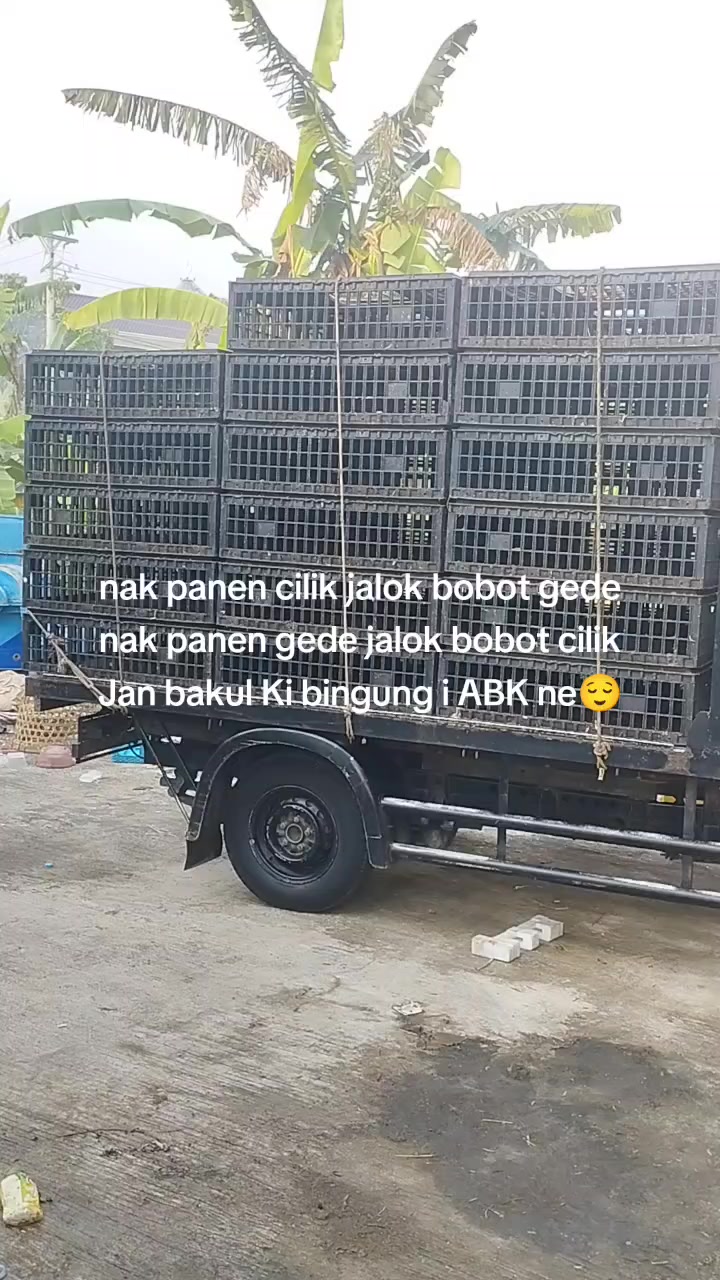 @Jojok