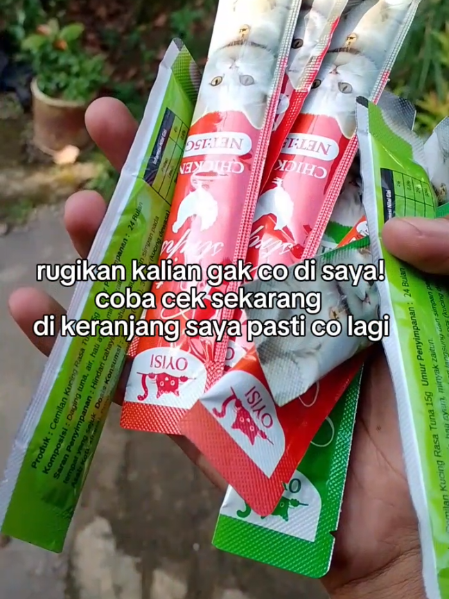 @Catman