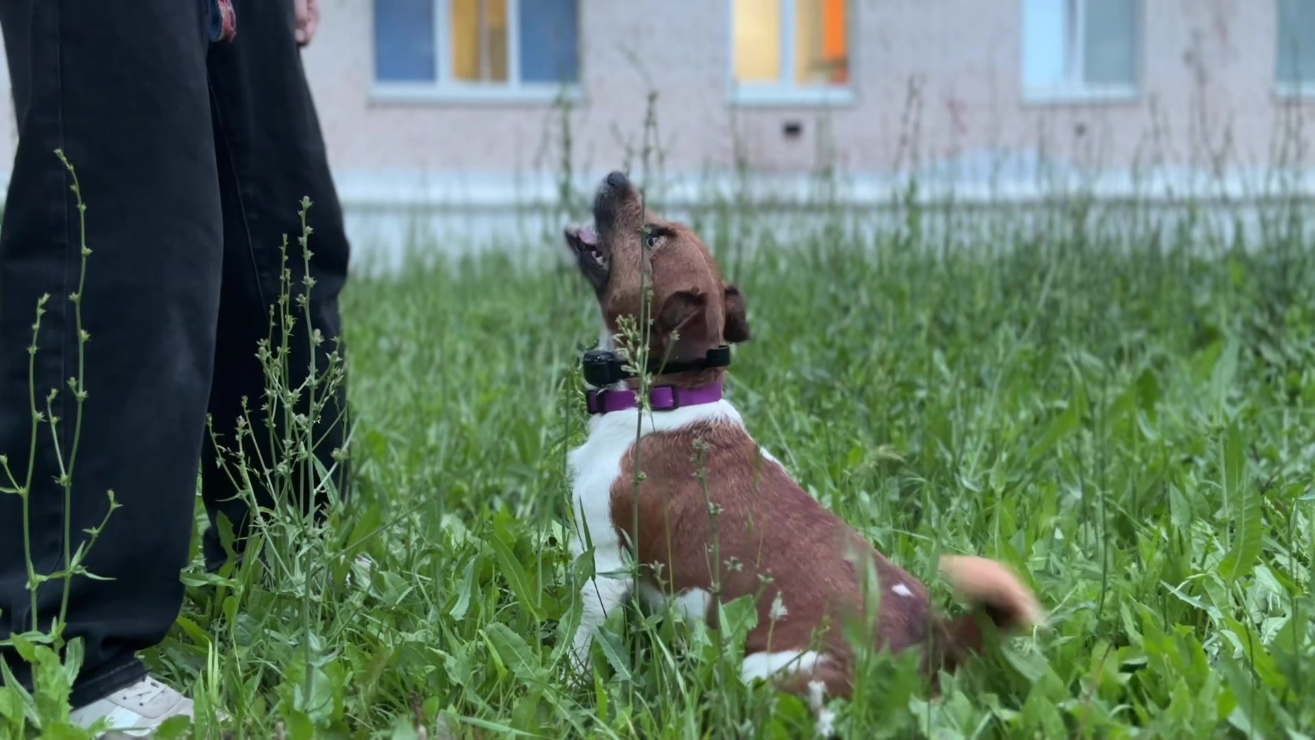 @метиска в раю