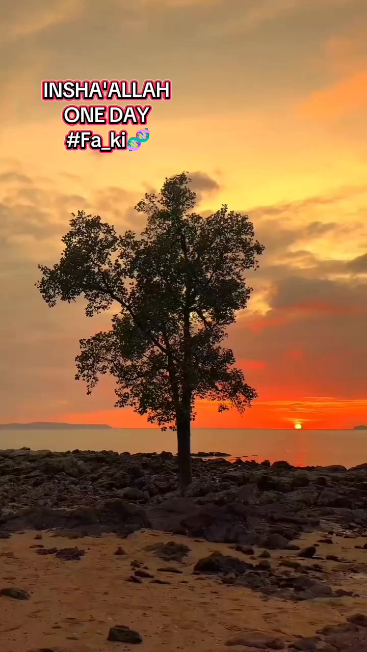 @نورین فخرچوہدری
