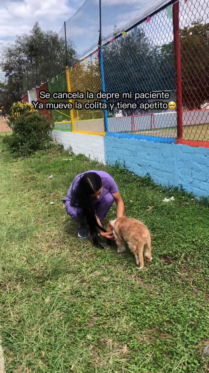 @Laura Hernandez |Vet