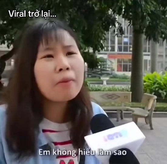 @Bảo Bảo Media