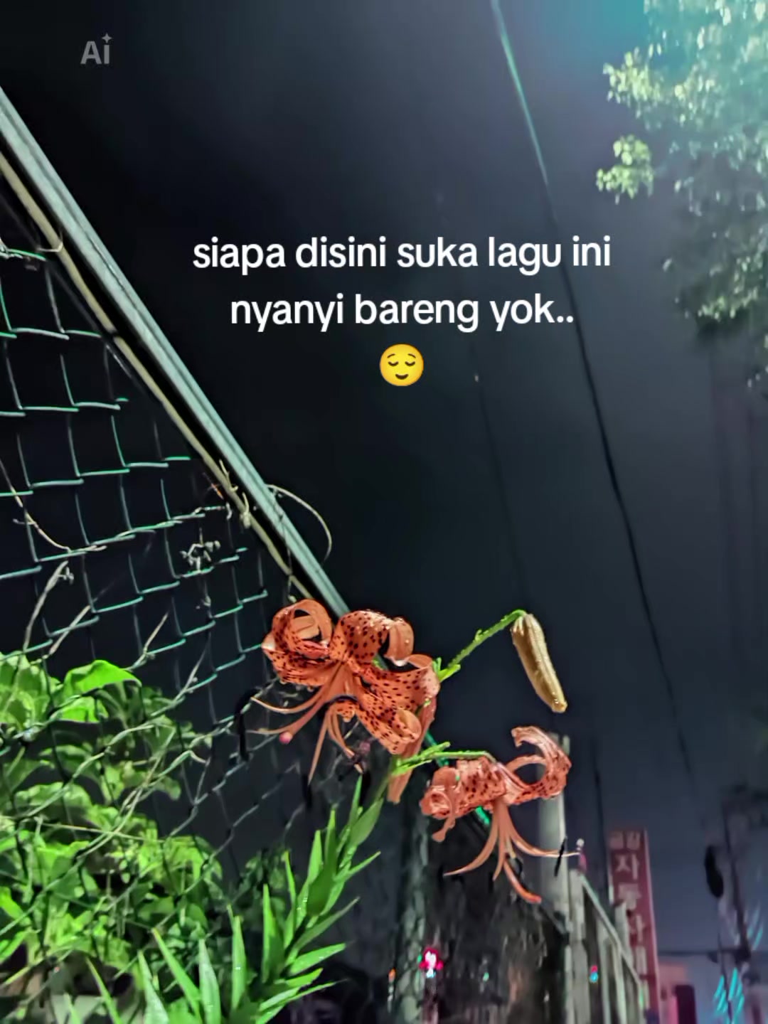 @wulaniayunika
