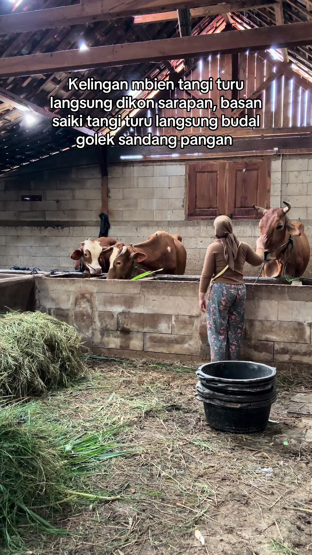 @zero farm