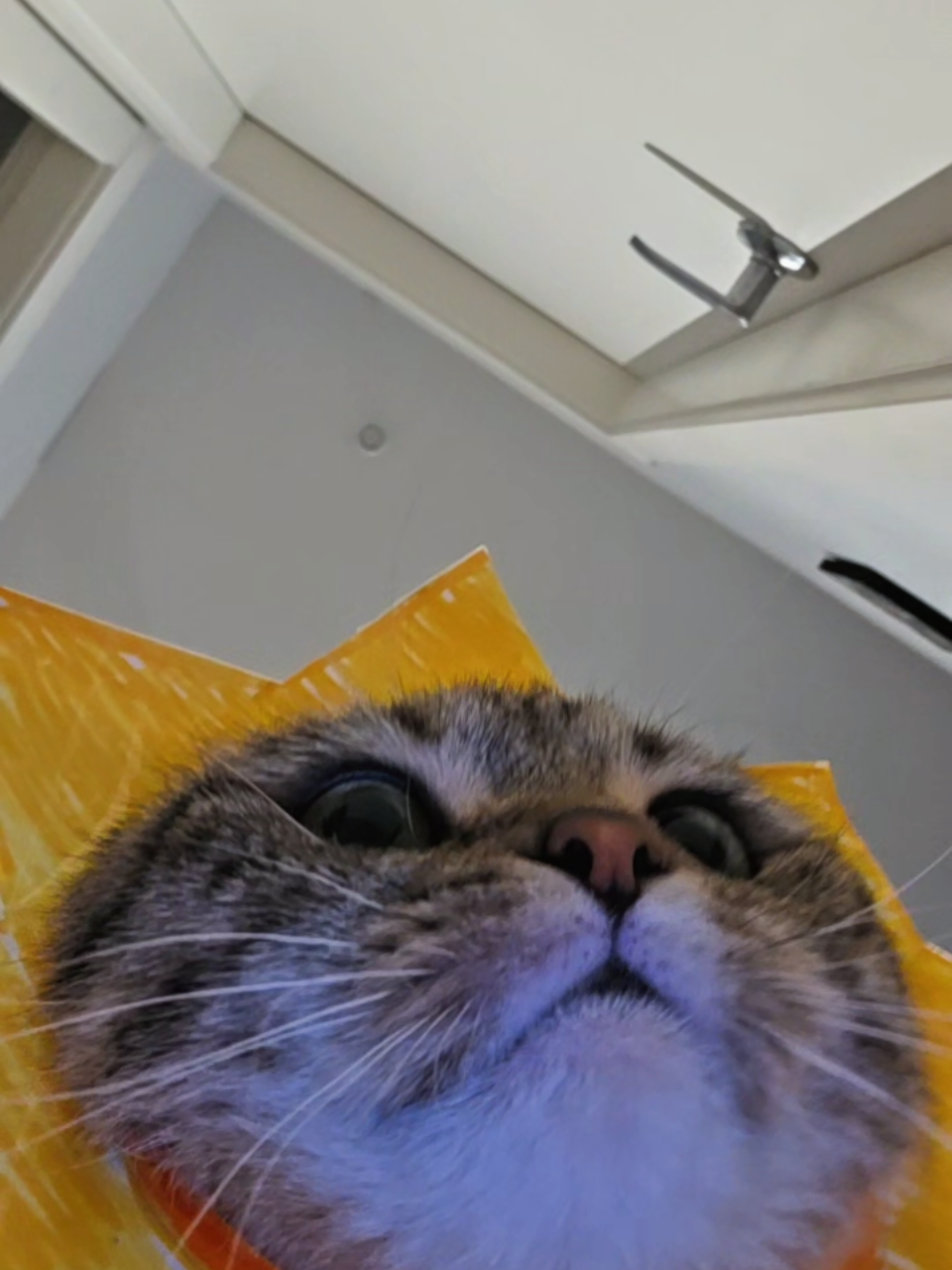 @Luka
